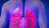 新药物原型如何再生肺组织