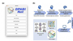 DPABINet：基于 MRI 数据的交钥匙脑网络和图论分析平台